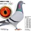 NL21-1559426