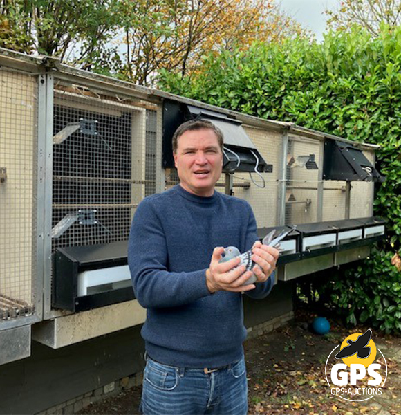 Totale Verkoop Pouw & v. Schaik (Vliegduiven) Part 1