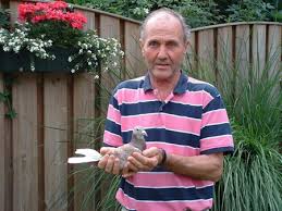 Henk van Bijsterveld, Mierlo