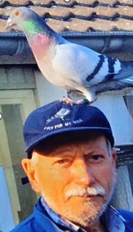 Frans Smulders, Valkenswaard (Dommelen)