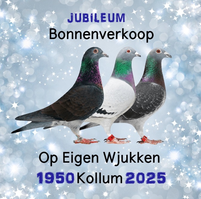Bonnenverkoop Op Eigen Wjukken Kollum