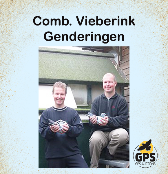Comb. Vieberink