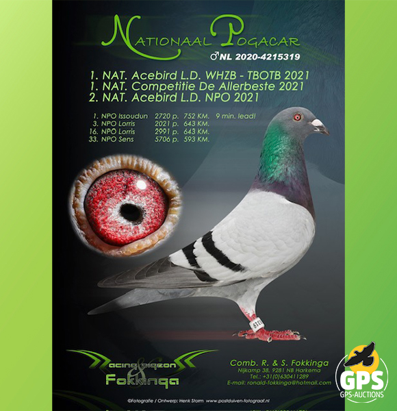 Pogacar Special - (H. IJzerman)