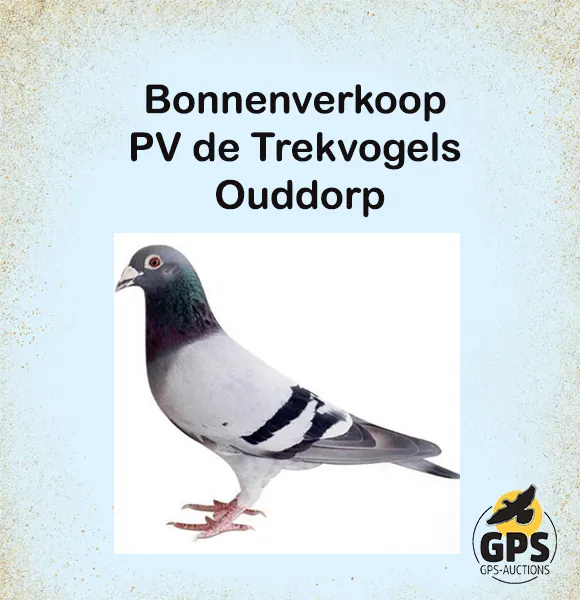 Bonnenverkoop P.V. De Trekvogels - Ouddorp
