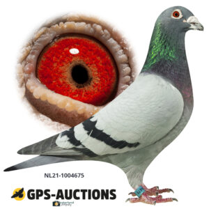 NL21-1004675