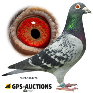 NL21-1004770