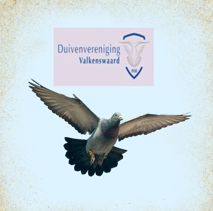 Bonnenverkoop DV Valkenswaard en NIC Valkenswaard