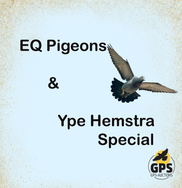 EQ Pigeons & Ype Hemstra Special