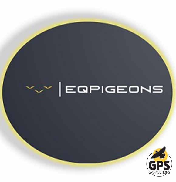 EQPigeons
