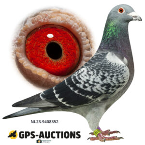NL23-9408352