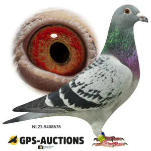 NL23-9408676