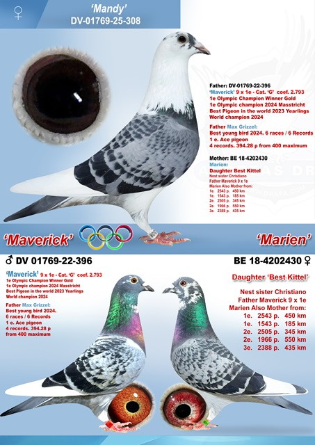 a.u. W. Drapa Part 2 - GPS-Auctions