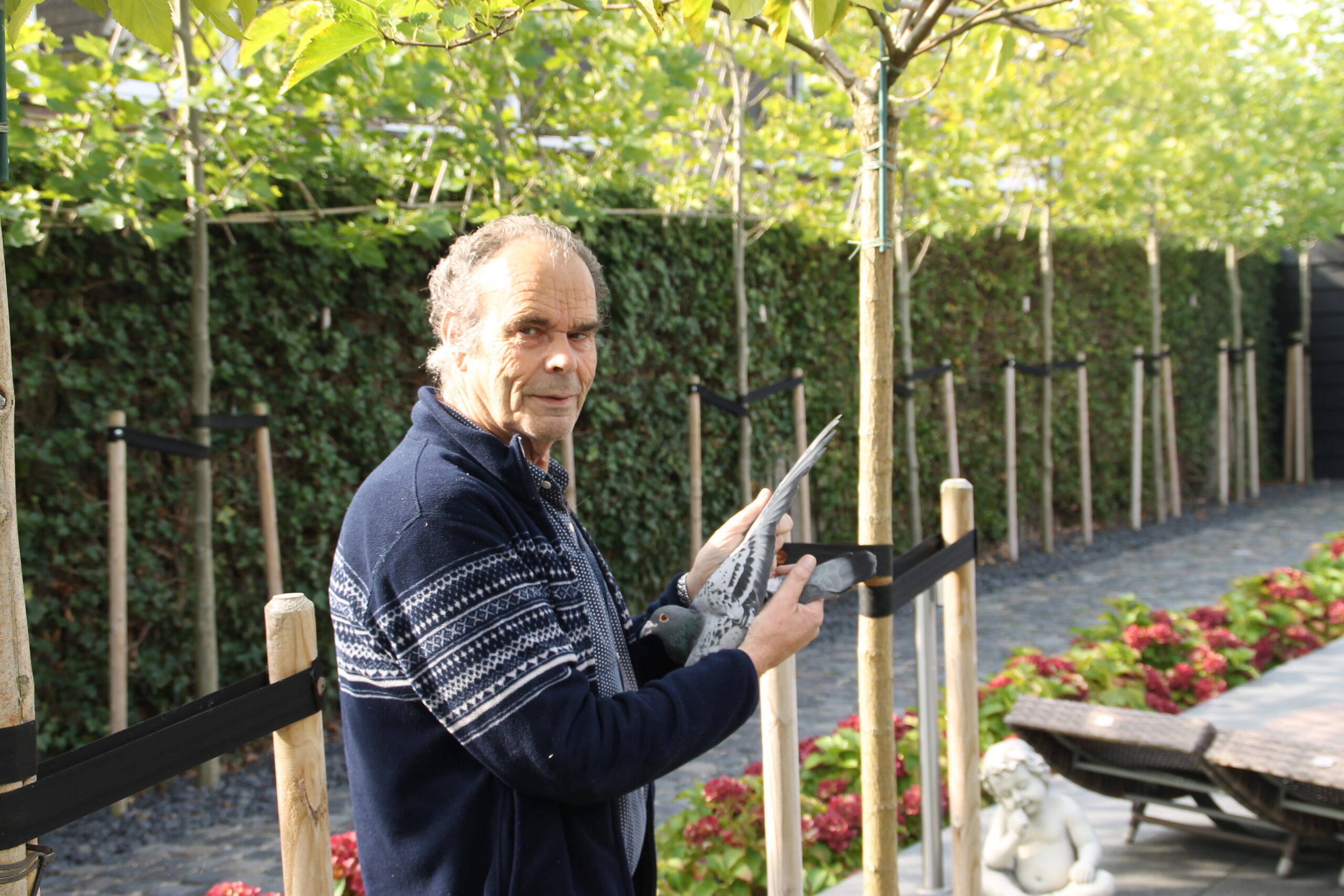 Harrie van Boxmeer- St Oedenrode