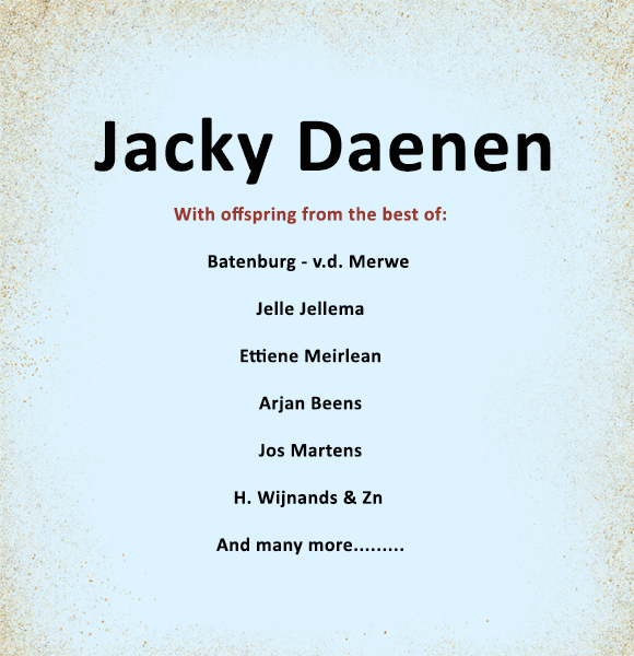 Jacky Daenen - Part 1