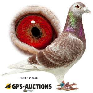 NL21-1058460