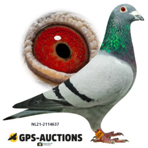 NL21-2114637