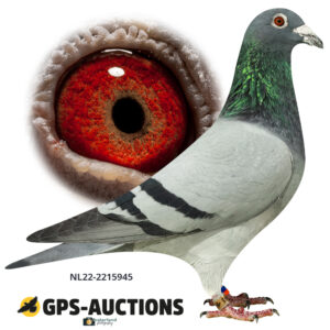 NL22-2215945