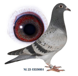 Comb. Proosten, Oosterhout