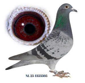 Comb. Dikmans Hoosemans, Hilvarenbeek