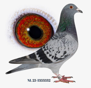 Stultjens-van Dongen, Oosterhout