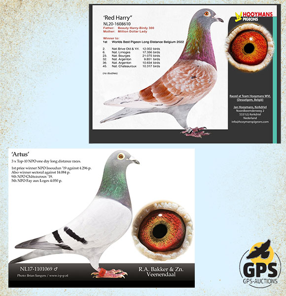 Red Harry & Artus Special