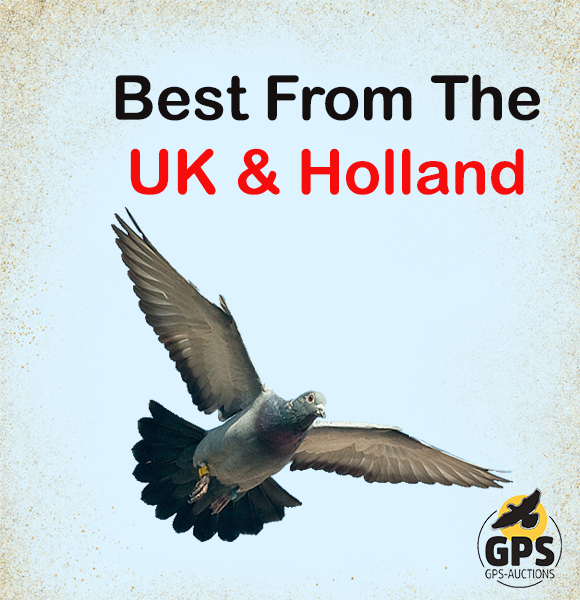 Best From The UK & Holland