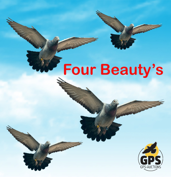 Four Beauty's