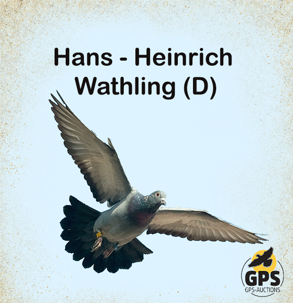Hans - Heinrich Wathling