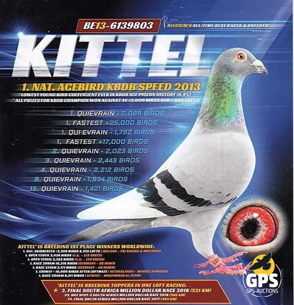 Kittel Special