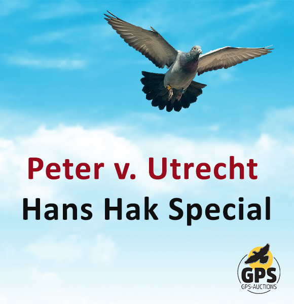 Peter van Utrecht - Hans Hak Special