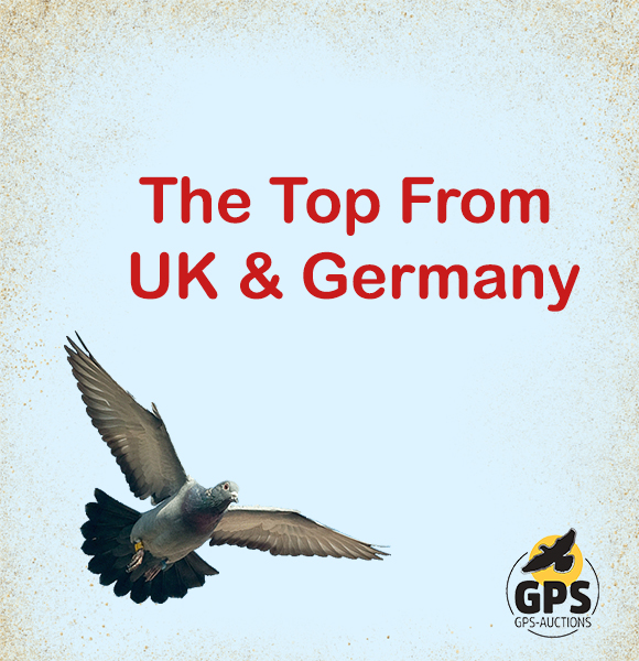 The Top from UK & Germany