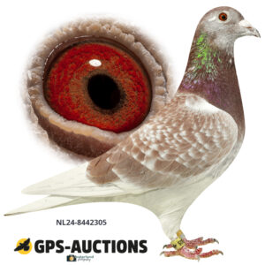 NL24-8442305