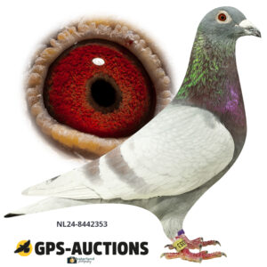NL24-8442353