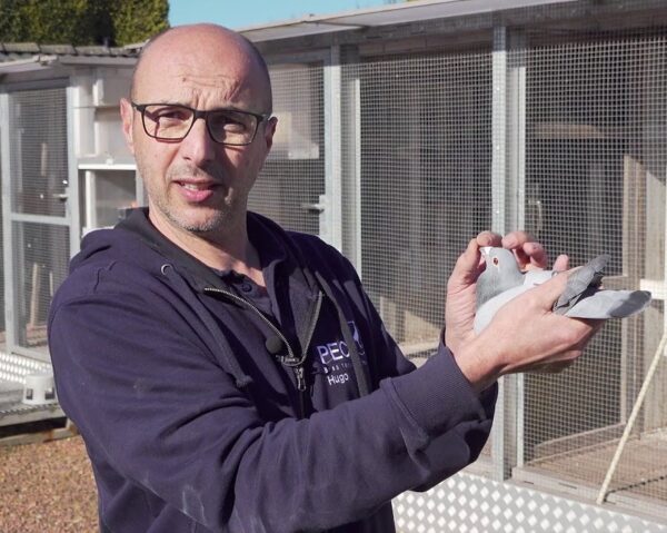 Batenburg - v.d. Merwe Special