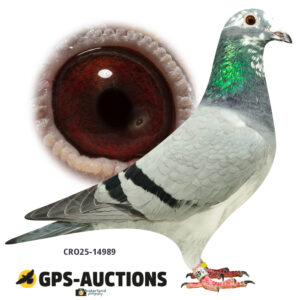 CRO25-14989