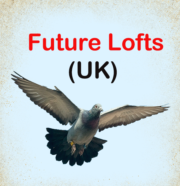 Future Loft - Part 1