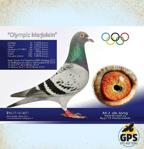 Olympic Marjolein Collection