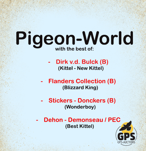 Pigeon World - Part 1