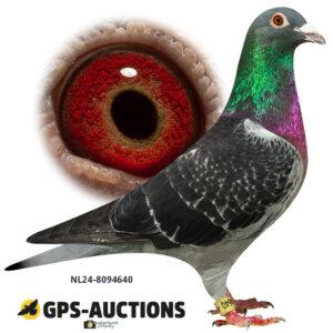 NL24-8094640