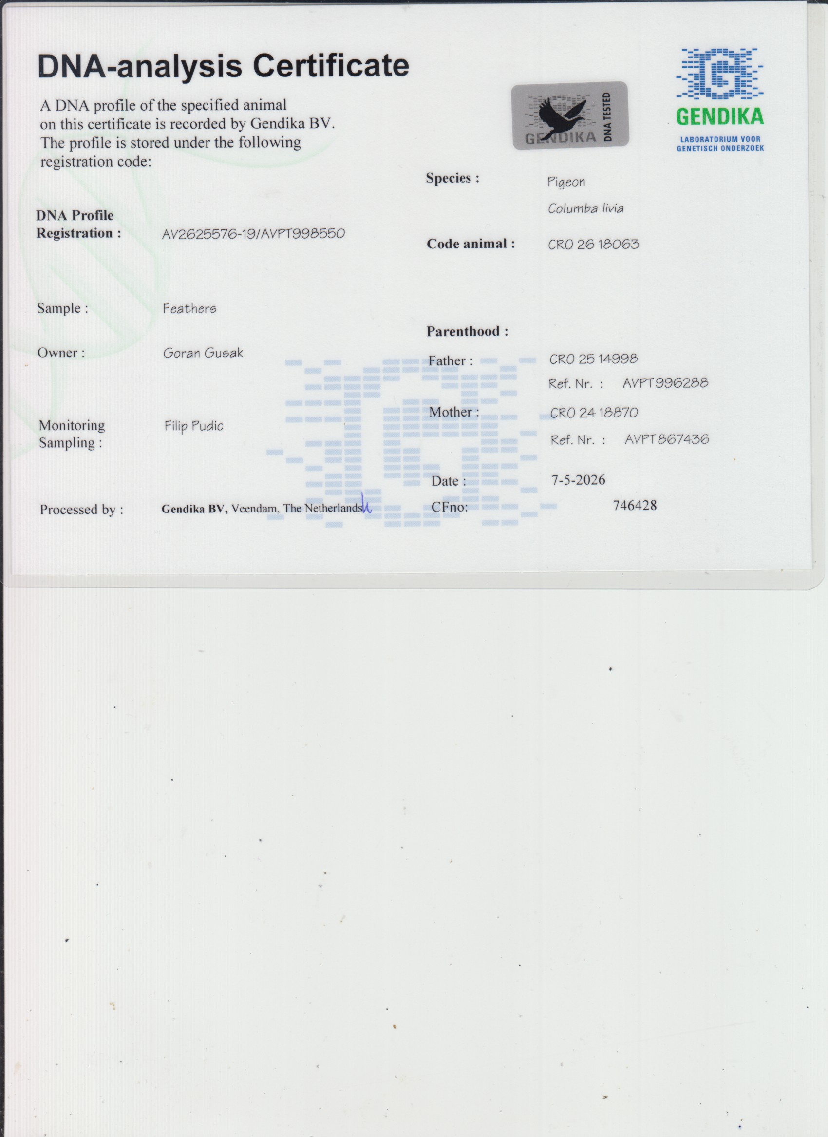 CRO26-18063