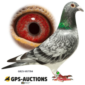 GB25-V07704