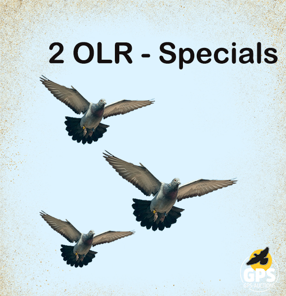 2 OLR Specials !!!!
