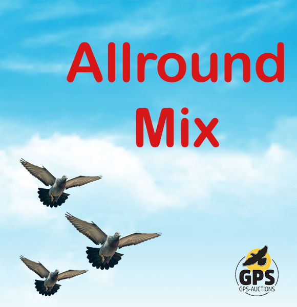 Allround Mix