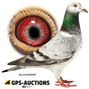NL24-8208499