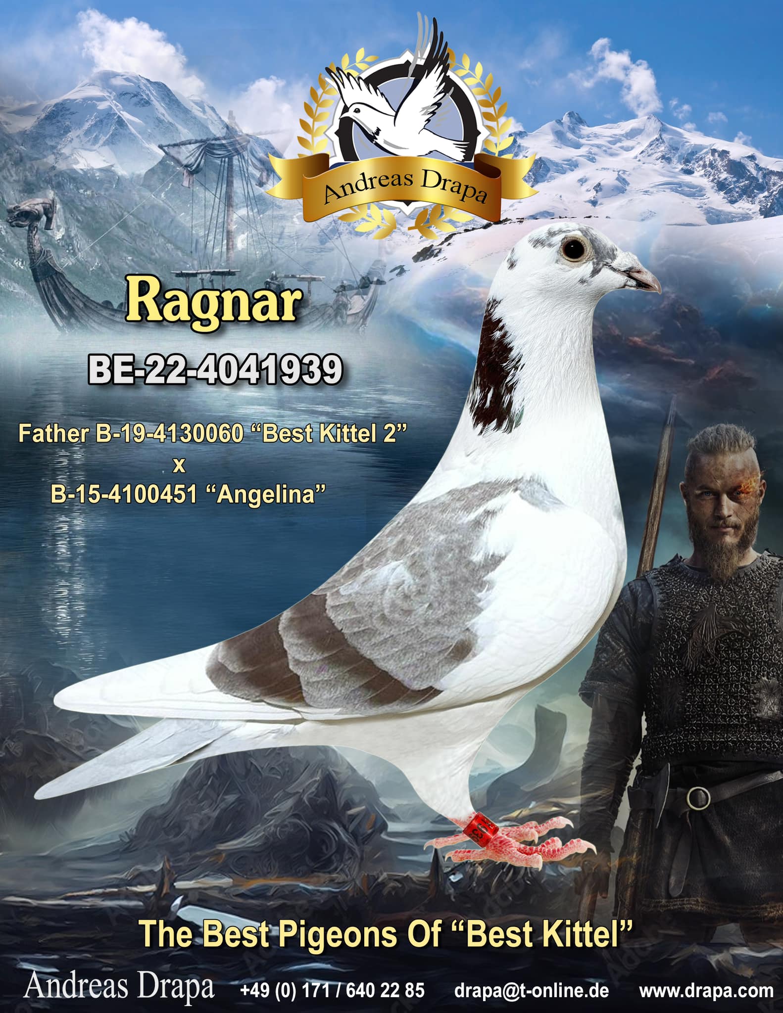 NL26-8452919