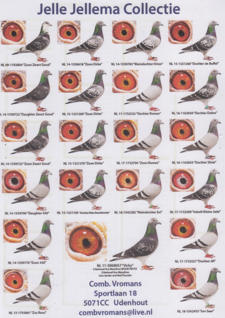 NL20-1783936