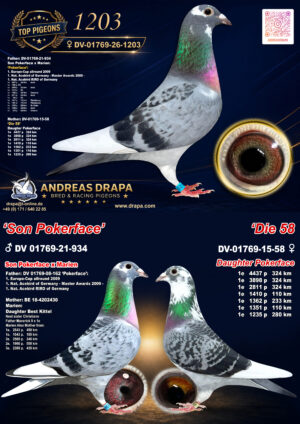 DV01769-26-1203