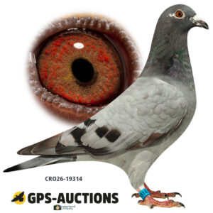 CRO26-19314
