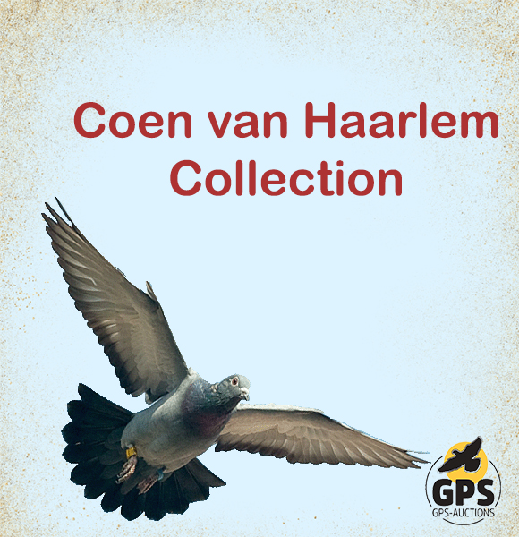 Coen van Haarlem Collection