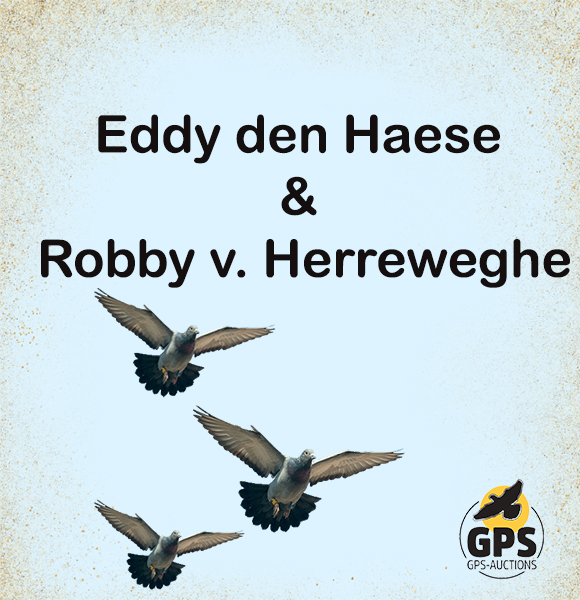 Eddy den Haese - Robby v. Herreweghe